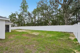 15103 SW 61st Ct Rd, Ocala, FL 34473 - Photo 46