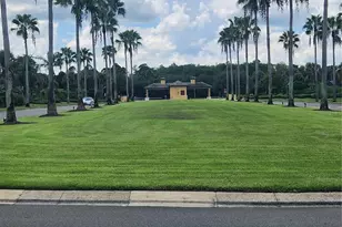 8935 Cuban Palm Rd, Kissimmee, FL 34747 - Photo 38
