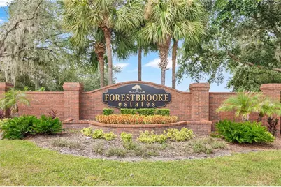 253 Beacon Pointe Drive, Ocoee, FL 34761 - Photo 28
