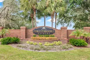 253 Beacon Pointe Dr, Ocoee, FL 34761 - Photo 28
