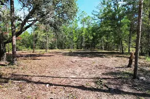 SE 6th Ln, Williston, FL 32696 - Photo 1