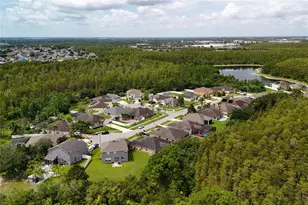 14424 Babylon Way, Orlando, FL 32824 - Photo 82