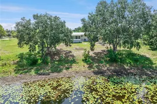 33525 Linda Dr, Leesburg, FL 34788 - Photo 36