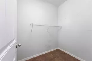 13786 Summer Harbor Ct, Windermere, FL 34786 - Photo 52