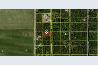 10515 Hennessey Avenue, Hastings, FL 32145 - Photo 2