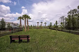 14751 Field Daisy Dr, Winter Garden, FL 34787 - Photo 36
