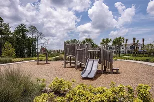 14751 Field Daisy Dr, Winter Garden, FL 34787 - Photo 32