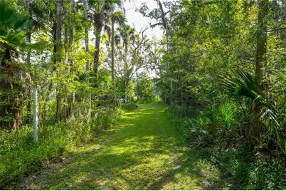 1879 Hideaway Lane, Edgewater, FL 32132 - Photo 12