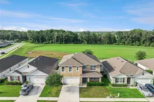 29505 Caspian St, Leesburg, FL 34748 - Photo 36
