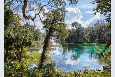8319 N Yellowbird Avenue, Citrus Springs, FL 34434 - Photo 6