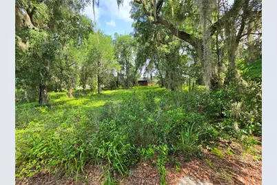 0 West Plymouth Avenue, Deland, FL 32720 - Photo 8
