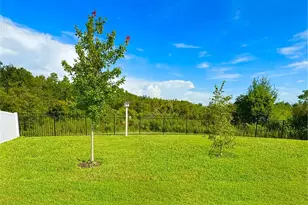 5718 Spivey Ct, Wesley Chapel, FL 33545 - Photo 2