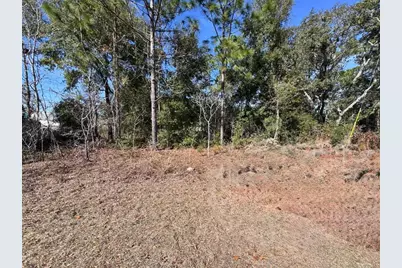 9052 N Burmany Way, Citrus Springs, FL 34433 - Photo 2