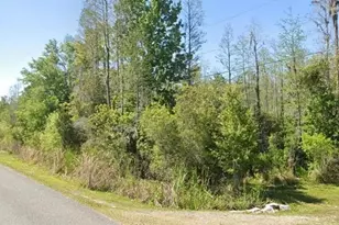 26611 C C Ln, Wesley Chapel, FL 33544 - Photo 1