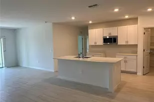 11186 Radiant Shore Loop, San Antonio, FL 33576 - Photo 4