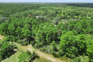 680 Wild Acres Rd, Osteen, FL 32764 - Photo 42