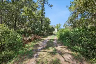 680 Wild Acres Rd, Osteen, FL 32764 - Photo 36