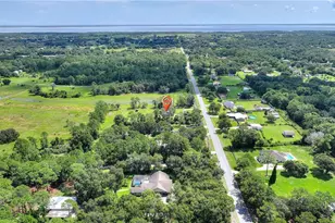 3934 Burkholm Rd, Mims, FL 32754 - Photo 74