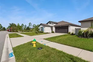 5404 Blue Azure Dr, Wimauma, FL 33598 - Photo 4