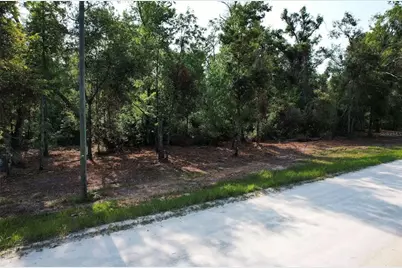 Ne 497th Street, Old Town, FL 32680 - Photo 4