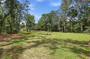 16111 Sunflower Trail, Orlando, FL 32828 - Photo 24