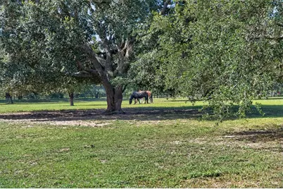 25013 Derby Drive, Sorrento, FL 32776 - Photo 42