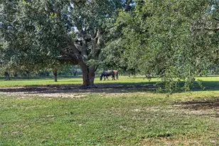25013 Derby Dr, Sorrento, FL 32776 - Photo 42