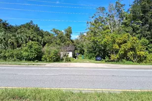 438 N State Road 415, Osteen, FL 32764 - Photo 4