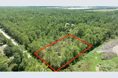 5669 Mango Avenue, Bunnell, FL 32110 - Photo 4