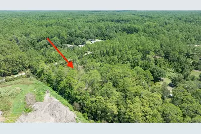5669 Mango Avenue, Bunnell, FL 32110 - Photo 6