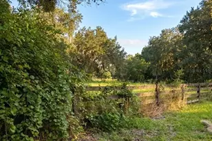 3030 SE Hwy 31, Arcadia, FL 34266 - Photo 50