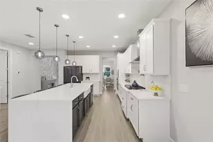 806 Creeping Fig St, Apopka, FL 32703 - Photo 14