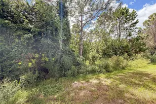 156 Glass Onion Dr, Howey in the Hills, FL 34737 - Photo 26
