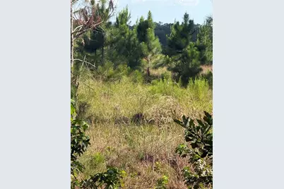5612 E Highway 316, Citra, FL 32113 - Photo 8