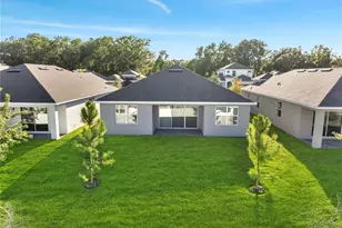 2272 Sirens Ln, Mount Dora, FL 32757 - Photo 30