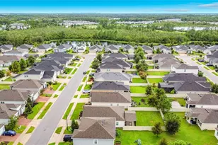 2929 Deerberry Ln, Clermont, FL 34714 - Photo 52