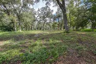 0 SE 124th Ave, Webster, FL 33597 - Photo 1