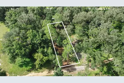 0 SE 124th Avenue, Webster, FL 33597 - Photo 6