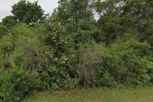 NE 236th Ln, Fort Mc Coy, FL 32134 - Photo 1