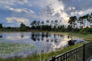 17319 Million Lks Ct, Clermont, FL 34714 - Photo 6