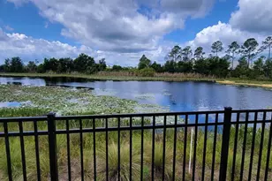 17319 Million Lks Ct, Clermont, FL 34714 - Photo 22