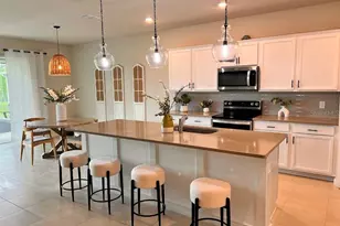 17319 Million Lks Ct, Clermont, FL 34714 - Photo 34