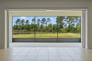17319 Million Lks Ct, Clermont, FL 34714 - Photo 18