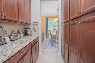 10520 Burrows Street, Orlando, FL 32832 - Photo 16