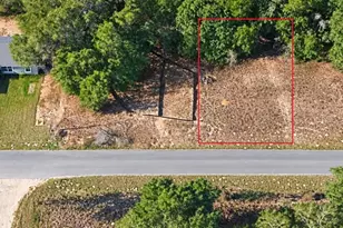 7748 N Manville Rd, Citrus Springs, FL 34434 - Photo 1