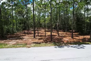 SW 183rd Terrace, Dunnellon, FL 34432 - Photo 1