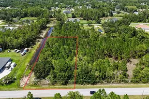 Starry St, Orlando, FL 32833 - Photo 1