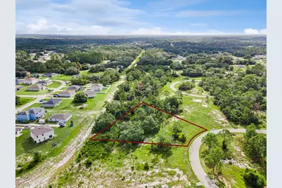 1319 Homosassa Court, Poinciana, FL 34759 - Photo 10