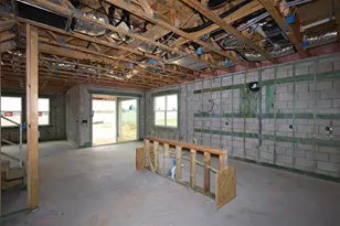 17419 Water Hemlock Rd, Winter Garden, FL 34787 - Photo 8