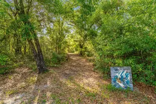 9600 E New Hope Ct, Floral City, FL 34436 - Photo 72